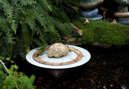 Form & Flora - Biophilia Biofeedback