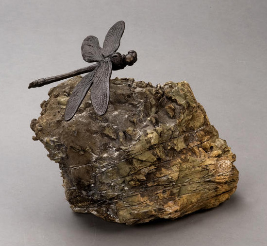 Dragonfly One