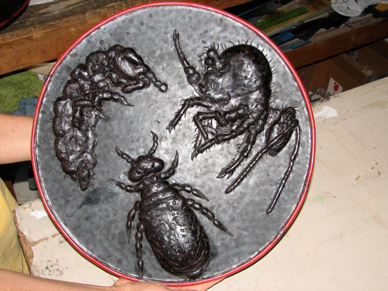 Open Lands - Soil Creatures