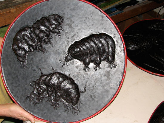 Open Lands - Soil Creatures