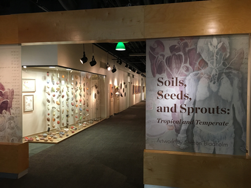 Seed Rain: Seed Bank Exhibition